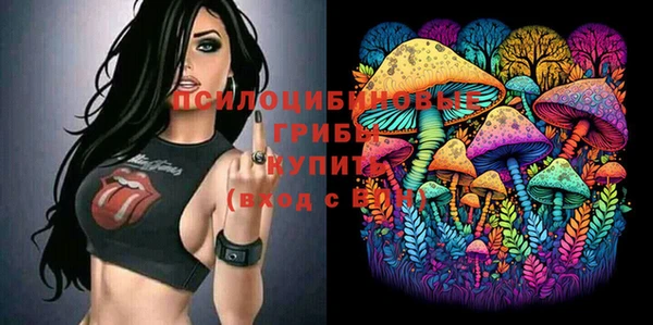 mdma Богданович